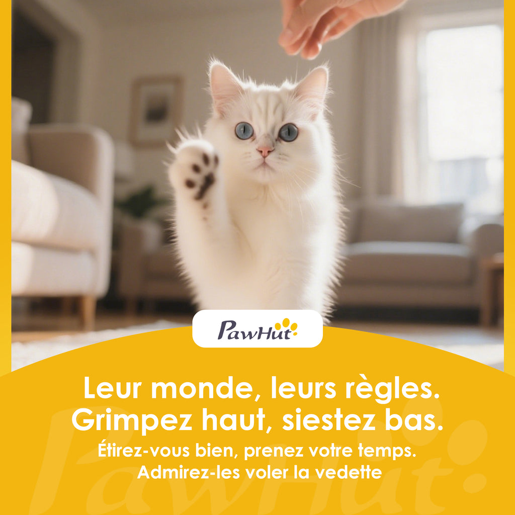 Lit pour chat réversible, lit pour chats d'intérieur et petits chiens, lit rond avec rebord de soutien, gris clair