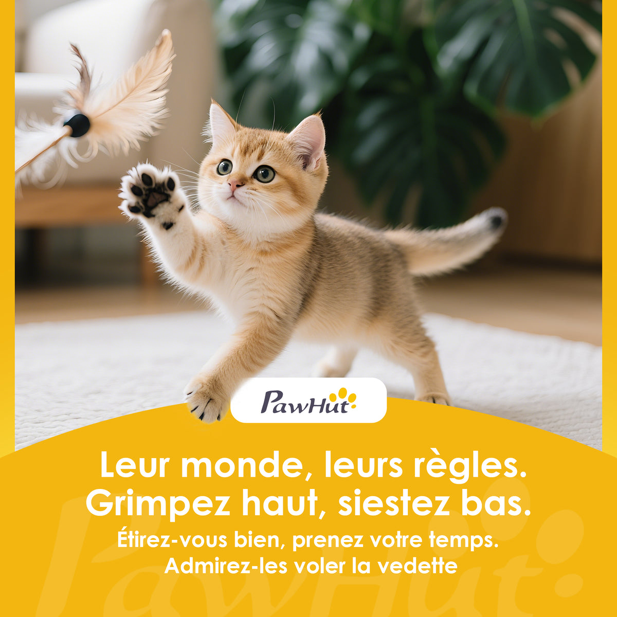 Arbre à chat tour de jeux pour chat avec griffoir 3 lits 2 niches plateformes et 3 jouets suspendus hauteur 174 cm gris
